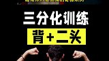 三分化训练模板，背+二头训练计划