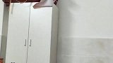 小猫从高处往下蹦，接下来的一幕，笑坏了主人！