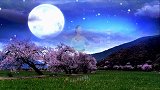 艺莞儿明星队员腊梅《月光下的梦恋》藏舞