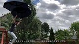 雨伞能代替降落伞下降吗？小哥在高空降落测试，结果你猜怎么着？