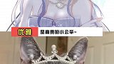 是高贵的猫猫公主呢