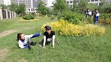 老师不听学霸劝告，跑进二浪设计的圈套坑惨队友，真逗！