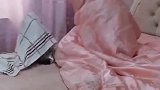 猫：为啥不带上我！