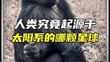 人类究竟起源于哪个星球呢？