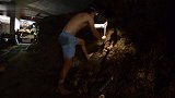 挑战《澳洲小哥》第97集野外生存技巧河里捡田螺烧烤田螺