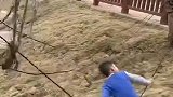 电线上荡秋千，真是太会玩了