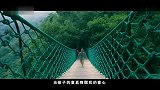 旅游-庆元县百山祖景区旅游形象片最终版