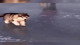 最后这个回马枪出戏了，差点儿摔成肉饼
