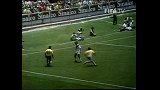 世界杯-巴西队历史百大进球之79·托斯陶-花絮