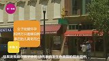 糊涂妈妈和数万只蜜蜂拍照，结果造成腹中胎儿惨死