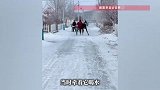 男子试图制服受惊小马，却被架着在结冰路面“并驾齐驱”