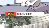 猫咪天气真什么玩意儿？