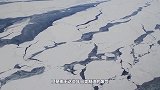 南极出现大量红色的雪，犹如血海，科学家：最担心的事正在发生