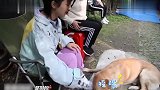 杨紫在片场和狗狗玩“啪啪”游戏，果然还是那个可爱女孩