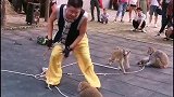 猴子急眼了。