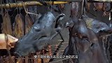 农村大叔用“祖传”手艺做腊牛头，又黑又丑，切开一片口水流了