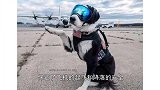 机场英雄犬离世，它一生驱逐8千只鸟，离开前一天仍在跑道工作