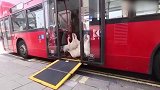 爆笑萌宠，大白鹅坐公交车