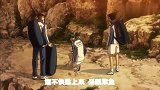 网球王子：桃城受伤了，队友永不抛弃，这就是友谊