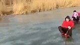 一家人在河面上滑冰，我以为会掉进河里，没想到掉进了芦苇荡里！