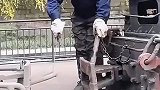 火车这样连接的，涨见识了