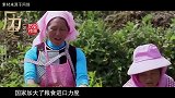 越南禁止粮食出口，中国：不会对我国产生影响