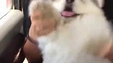 头一次见这么会玩的小姐姐，只是可怜阿拉了，阿拉有点头晕！