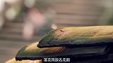 狐妖秘事：痴情女郎薄情汉，即使青梅竹马，也难抵你成名妻妾成群
