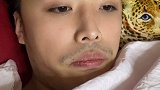 球迷的烦恼球迷 英超