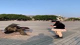 吓我一跳花絮，爱小姐姐，爱生活