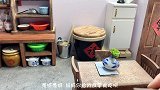 迷你厨房：美味红薯丸子，1个红薯做4大盘，一口咬下去会爆浆