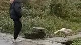 这就是农村的战神