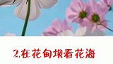 大理旅行一定要做的7件事