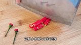 黄瓜和它一起炒简直是绝配,做法特别简单,清脆入味,营养又下饭