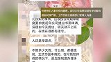 网友称请产假被领导诅咒？公司叫苦：你不能今天申请，明天就休假