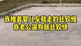 视频很短，故事很长，养一条狗来治愈你的生活