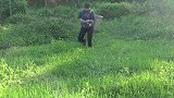 四川人对美食研究很独到，秋月用木姜菜凉拌皮蛋，Q弹爽口
