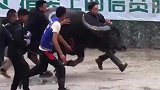 拦不住，根本拦不住，捉牛勇士手脚并用，地上都要冒烟了