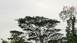 紫气东来鸿运到，青云直上坦途开'