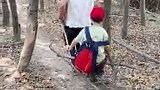 下周开始“一周一山”
