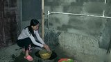 燕子下厨露一道凉拌鹌鹑皮蛋，营养美味，一上桌全家抢着吃
