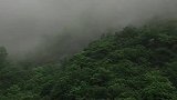 这里的风景真美啊。