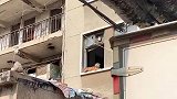 狗狗被遗弃在小破楼里不肯离去，原主人早就搬走了