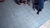 骑上我心爱的小摩托，吓全家人一跳！广东男童偷骑电动车引一阵虚惊  注意啦