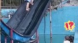 女子玩水上滑梯稳稳坐住，是不是没买跳水的票