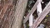 师傅才发现梯子拿不出来