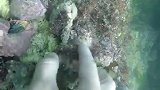 来青岛的海底打个卡吧！吃了青岛的海鲜没有？
