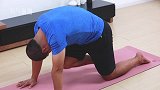 瑜伽小课堂丨三维脊柱健康理疗-虎式