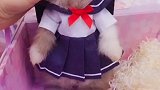 猫猫兔适合穿衣服