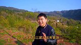 超小厨全家进山春游，没想意外收获三袋野菜！晚饭烤鸭米饭吃到饱